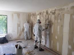 Mold Removal Services